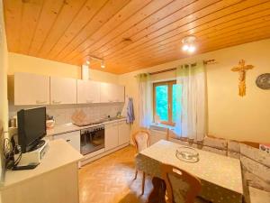 Kuchyň nebo kuchyňský kout v ubytování Comfortable apartment in Zenting in Lower Bavaria