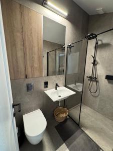 ein Badezimmer mit Toilette, Waschbecken und Dusche in der Unterkunft N i d e l ê in Nida + 22 Fotos