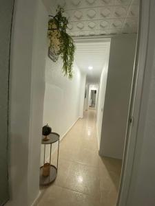 Fotografie z fotogalerie ubytování Appartement Célia v destinaci Algemesí