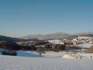 Apartment in Bavarian Forest Mountain View v zimě
