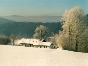 Apartment in Bavarian Forest Mountain View v zimě