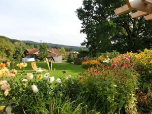 Zahrada ubytování Apartment in Bavarian Forest Mountain View