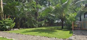 Um jardim no exterior de Beachfront Studio - Direct Beach Access, Fast Wifi & AC