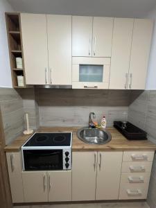 Kuchyň nebo kuchyňský kout v ubytování Apartman Ilić