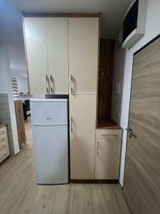 Kuchyň nebo kuchyňský kout v ubytování Apartman Ilić