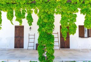 eine mit grünem Efeu bewachsene Pergola in der Unterkunft Shanti Home in Vieste