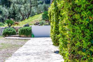 eine Hecke in einem Garten mit einem Gehweg in der Unterkunft Shanti Home in Vieste