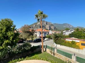 a palm tree in the middle of a street at Villa Caretta Luna in Ortaca