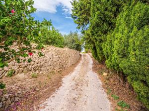 Vonkajšia záhrada v ubytovaní Villa in Callosa with Private Pool & Views