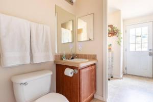 a bathroom with a toilet and a sink and a mirror at Mariposa Ridge Retreat in Mariposa +14 photos