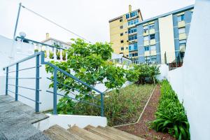 a set of stairs with a plant next to a building at Sailorman and Friends in Ponta Delgada