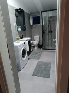 RadanovićiにあるAnnaMarijaのバスルーム(洗濯機、トイレ付)