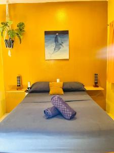 Gallery image of Palmar la Punta 22 AC Starlink 2min walk to beach in Brisas de Zicatela +23 photos