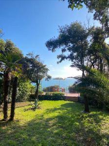 un parque con árboles y el océano al fondo en 2 Tuscan seafront apartments with private access to sea, en Castiglioncello 21 fotos más