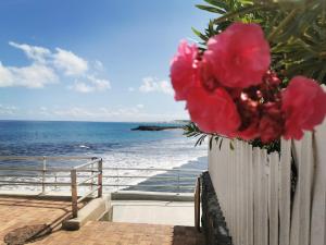 a vase filled with pink flowers next to the ocean at La Preciosa in San Agustin