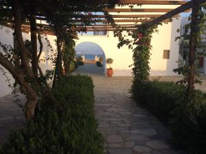 Zahrada ubytování Arokaria Seaside