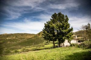 Gallery image of Mountain Retreat With View Of Aeolian Islands in San Marco dʼAlunzio