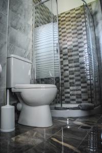 アギオス・ゲオルギオスにあるMirsini Apartmentsのバスルーム(トイレ、ガラス張りのシャワー付)