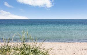 Příroda nedaleko prázdninového domu + 9 fotografií