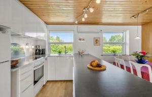 Kuchyň nebo kuchyňský kout v ubytování 3 Bedroom Stunning Home In Sydals
