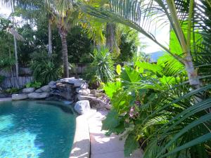 a swimming pool in a garden with palm trees at Quintessential Kewarra in Kewarra Beach