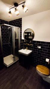 a bathroom with a toilet and a sink and a shower at Golden Hop Apartments in Senftenberg +4 photos