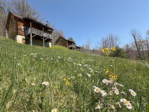 Billede fra billedgalleriet på Sleepy Bear Cabin-Watch the Sunset, Dogs welcome with Pet Rate i Maggie Valley + 12 billeder