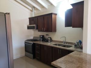 a kitchen with a sink and a stove top oven at Chateau Bellview in Falmouth