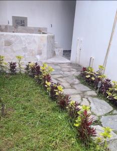 Zahrada ubytování Bee house - Abeja viajera suite