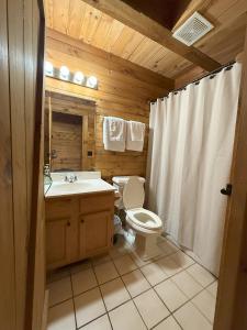 Koupelna v ubytování Cozy Bear Cabin-Stunning Mountain View, Dogs welcome with Pet Rate
