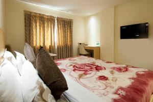 TV a/nebo společenská místnost v ubytování Mayur Hotel