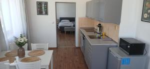 Kuchyň nebo kuchyňský kout v ubytování Apartmány Šrámek Stříbro