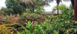 Gallery image of Cabañas Raquel Roe in Hanga Roa