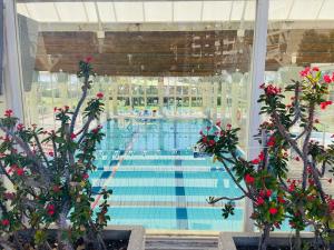 Bazén v ubytování Inbal's suite, Caesarea nebo v jeho okolí
