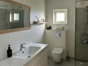 a bathroom with a sink and a toilet and a shower at Spacious Holiday Home In Peaceful North Zealand in Melby