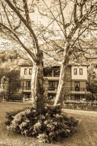 Zahrada ubytování Archontiko Emmanouilidi Suites