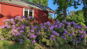 Fotografie z fotogalerie ubytování Skyttehusets Camping v destinaci Silkeborg