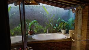 a bathroom with a sink and an aquarium with plants at Perwira Wood Villa with 2BR Pool&Scenic View in Seganteng