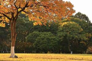 Mynd úr myndasafni af Hangzhou West Lake Youshan Villa í Hangzhou