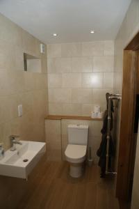 a bathroom with a white toilet and a sink at The Elms Annex in Cottered