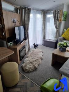 a living room with a dog laying on a rug at Lyons robin hood HV in Meliden