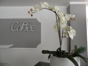 Fotografie z fotogalerie ubytování Hotel Monaco - parcheggio incluso e piscina - min 2 gg v destinaci Milano Marittima