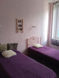 two beds in a room with purple sheets at chez l'habitant in Lavelanet
