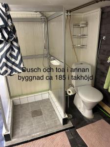a bathroom with a toilet and a shower at Söt stuga in Strömstad