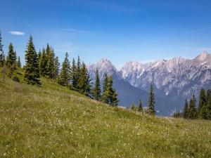 Paesaggio naturale nelle vicinanze dell'appartamento