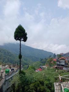 Gallery image of Anjali homestay in Jālāpahār +10 photos