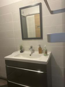 a bathroom with a sink and a mirror at Oasis Getaway in Peillac +4 photos