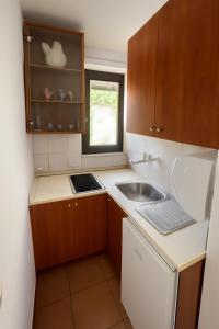 a small kitchen with a sink and a window at Apartments Jezerce 28 in Jezerce
