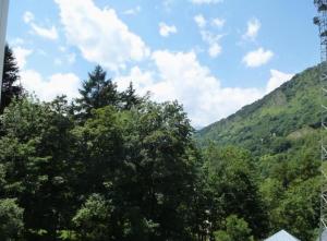 a view of a forest of trees and mountains at Résidence Helios - Studio cabine avec garage vue sur la montagne MAE-0893 in Barèges +2 photos