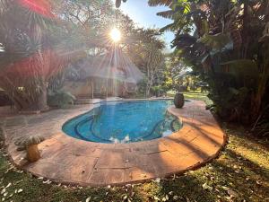 a swimming pool in a garden with the sun shining at Shamba Self-Catering in Pretoria